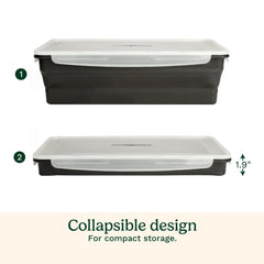 XL Collapsible Marinade Container