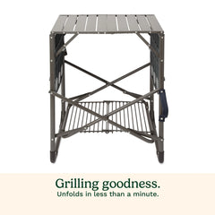 Take Along Grill Stand